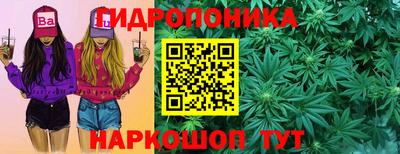 гашик Кинель