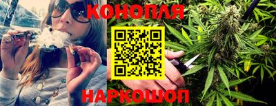 гашик Кинель